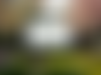 Best Family Movies for Outdoor Screenings This Spring