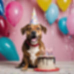 A Paw-some Birthday Party!