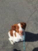 196066216_10226268173711491_169889967611498975_n