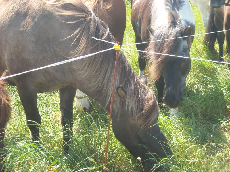 DSCN0083.JPG