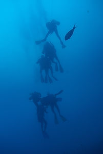 DSC08021-1.jpg