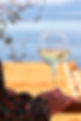 50._laphotographesucreesalee-2000px.png