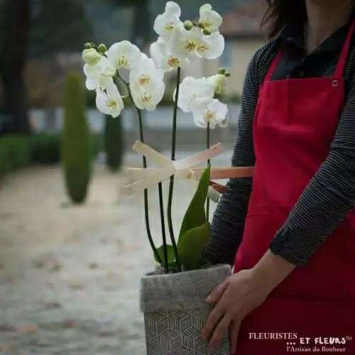 Miniature : Formule demande en mariage, bouquet de fleur, bouteille de champagne – Privatisé