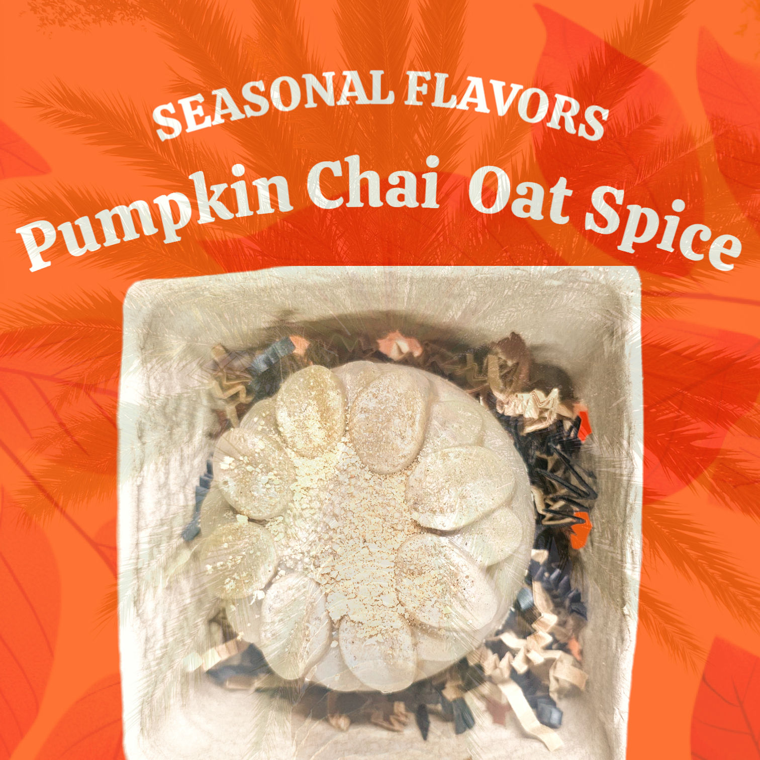 Pumpkin Chai Oat Soap