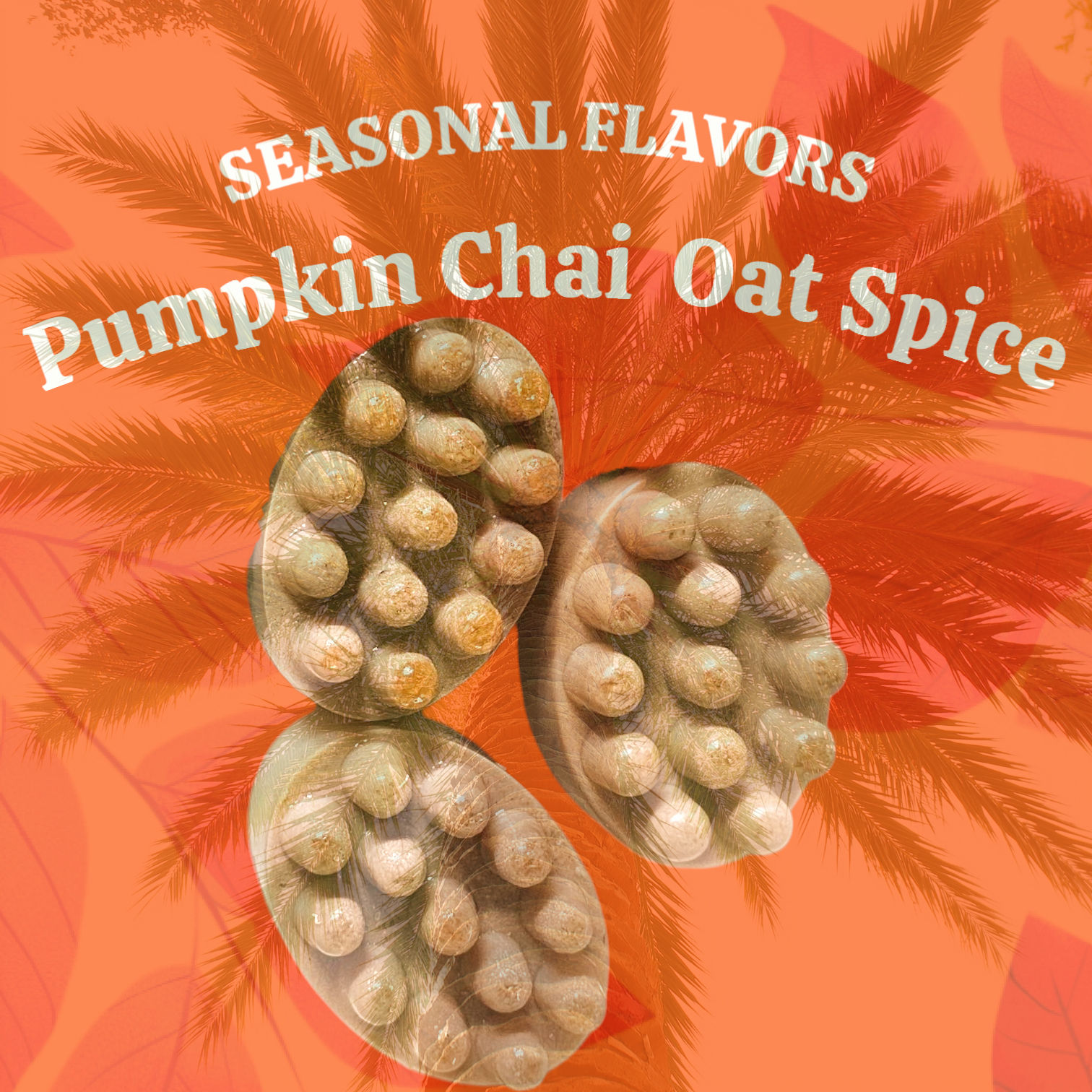 Lymphatic Pumpkin Chai Oat Soap
