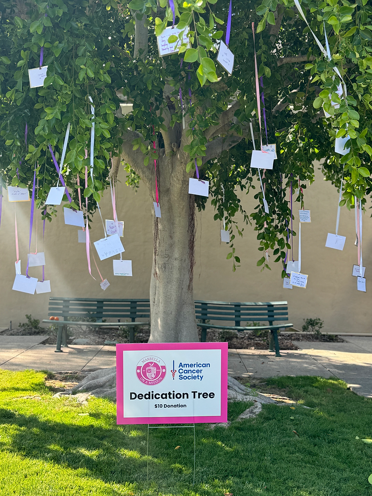 dedication tree.heic