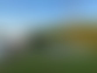 BBQ at Tremayne quay