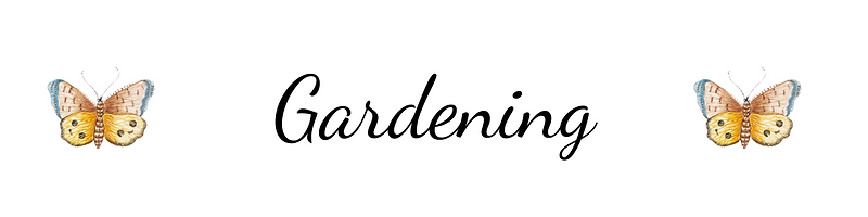 P (12).png