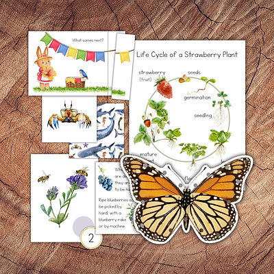 Discover summer learning activities, outdoor themes and warm-weather resources.