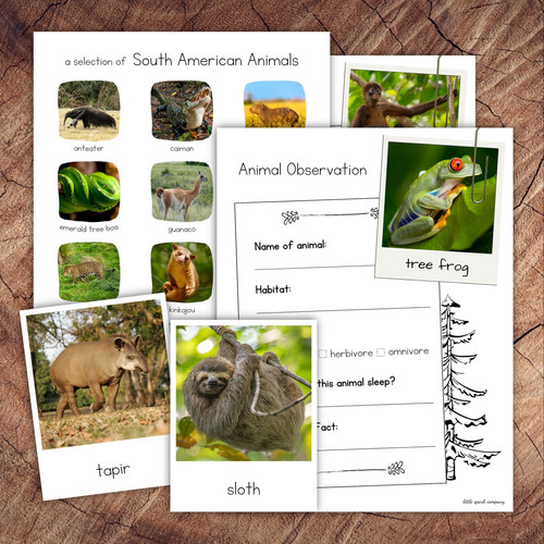 South American Animals Pack | Little Spark Company