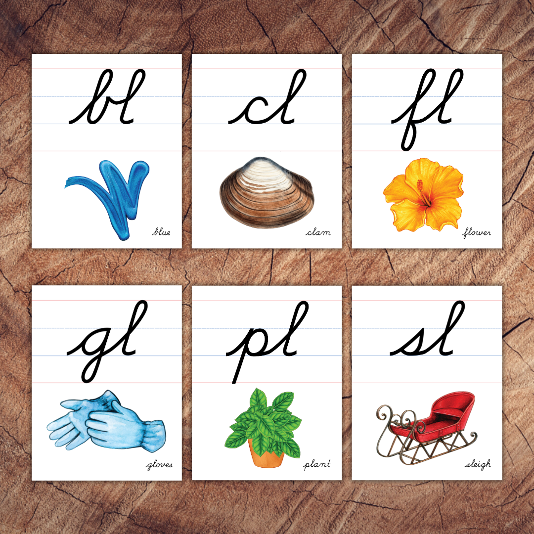 Cursive lined beginning consonant blends and digraphs poster with watercolour flower example