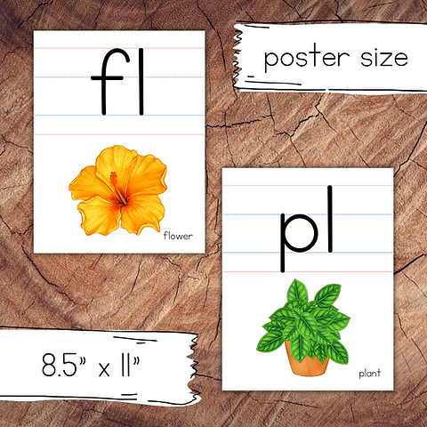 新品　Let's Start Smart／Blends & Digraphs Alphabet & Letter Sounds CD&DVD - Let's Start Smart