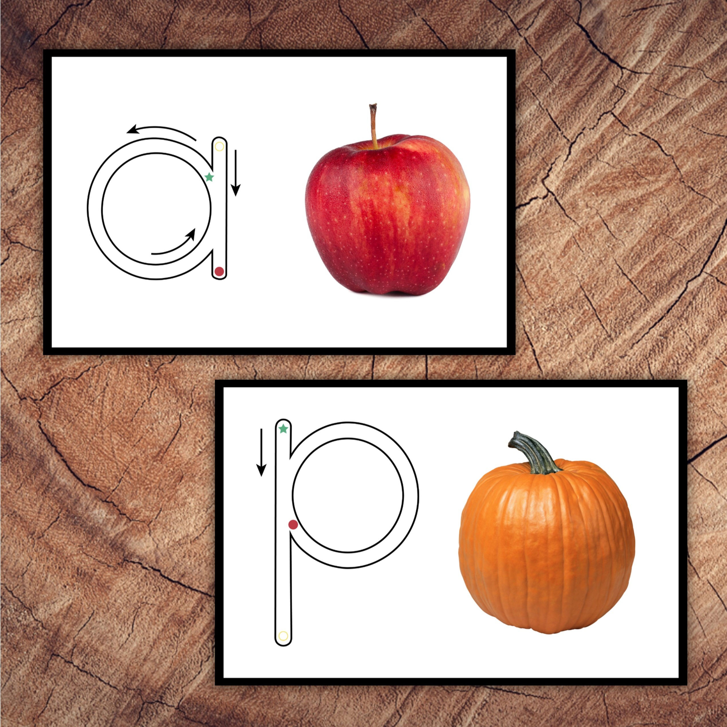 Autumn Lowercase Printing Primer Cards