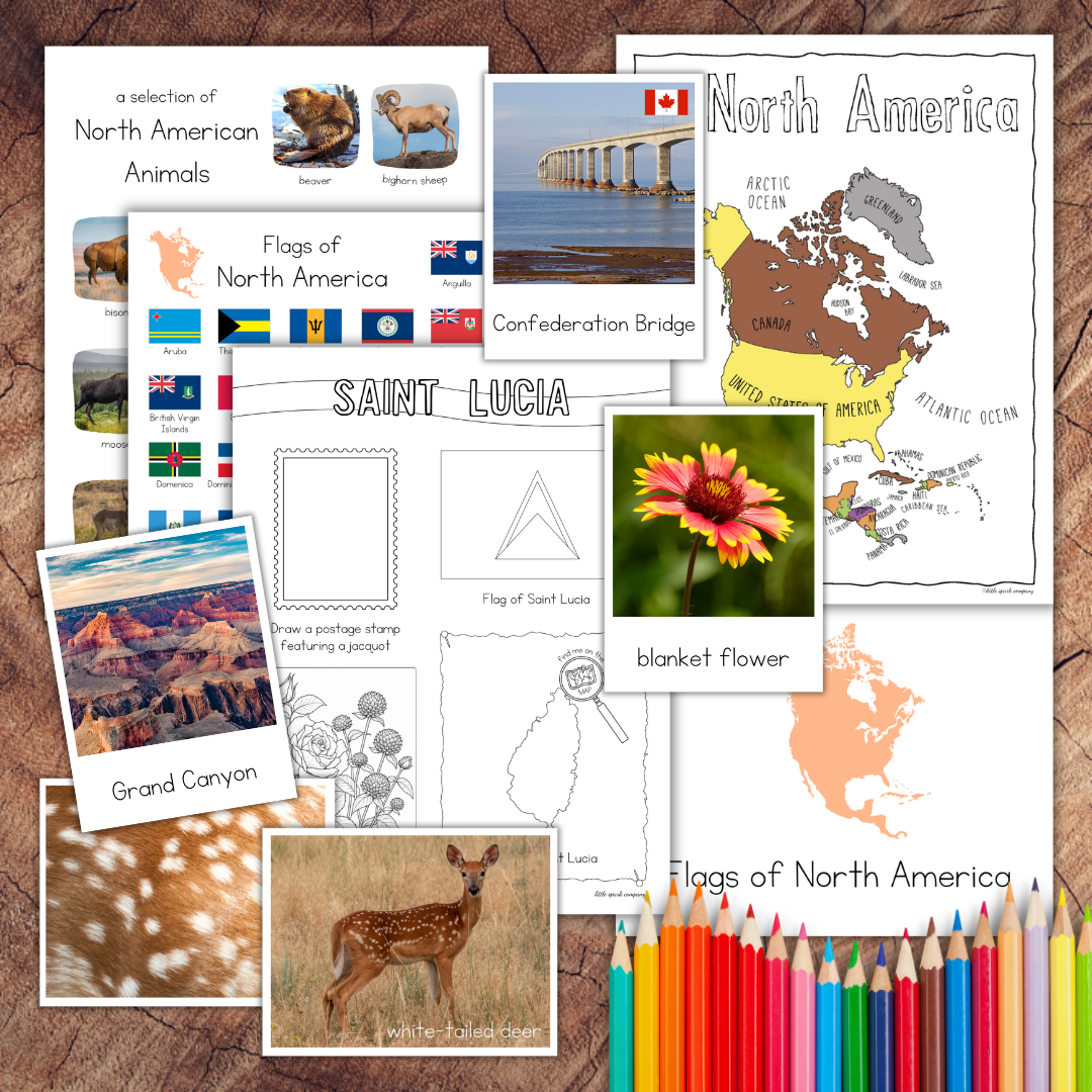 North America continent study bundle with printable maps, flags, animals, landmarks and country geography resources