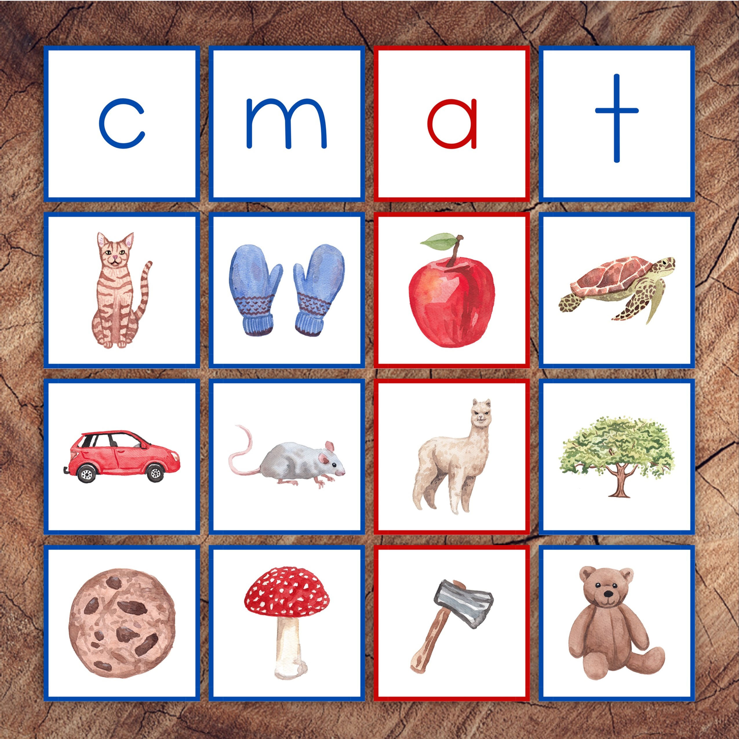 Beginning Letter Sounds Picture Sorting Card Set, Blue Consonants Red Vo