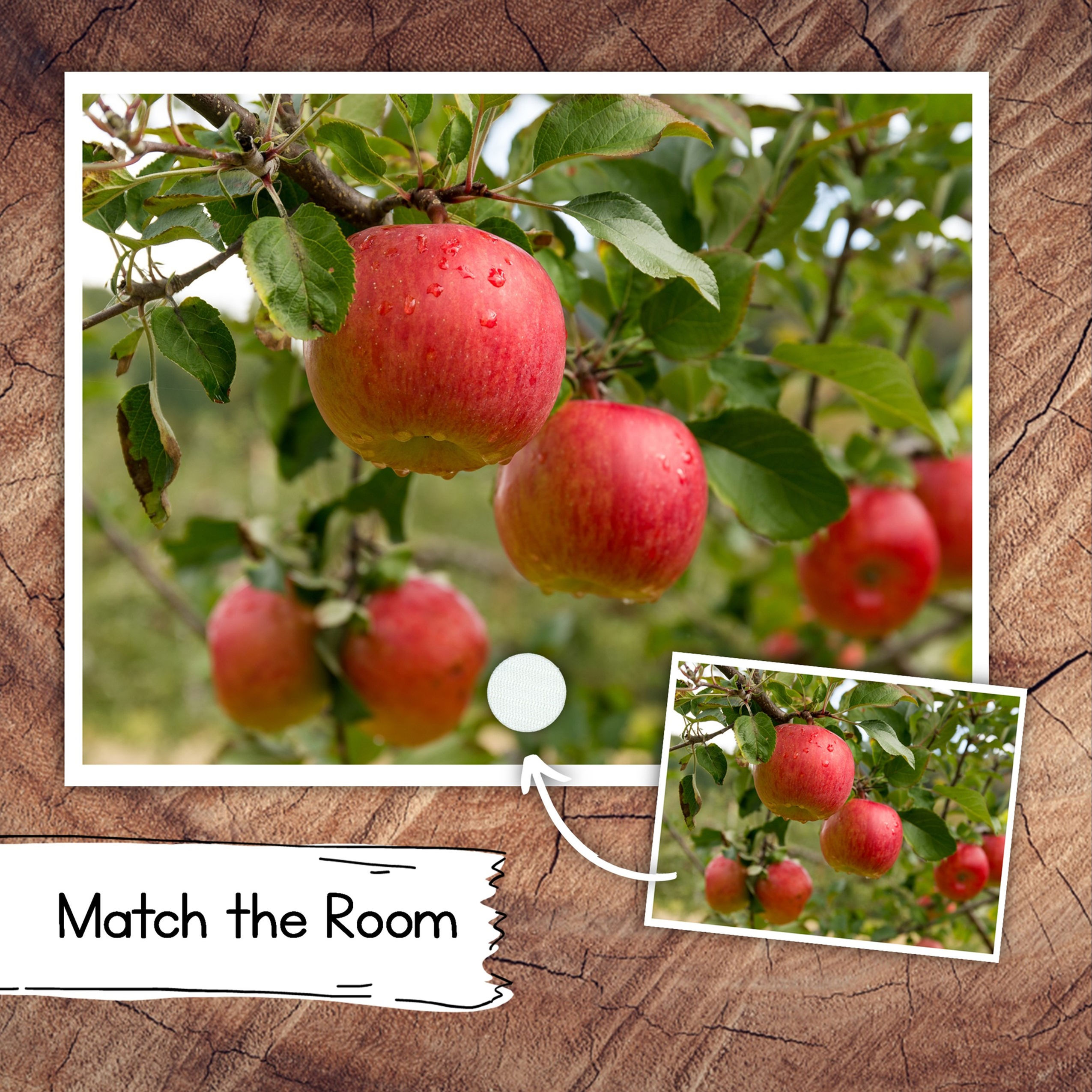 Match the Room Aa is for Apples