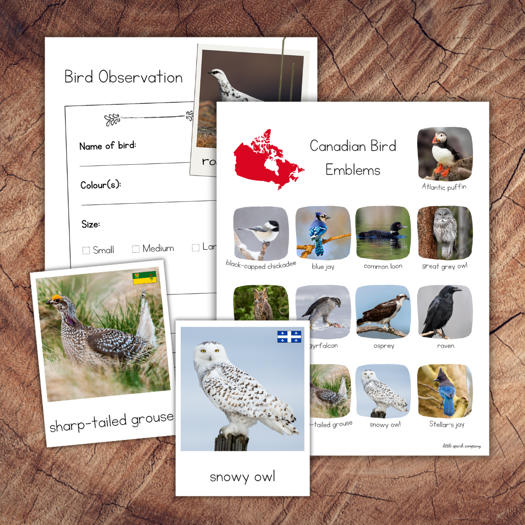 Canadian Bird Emblems, Montessori 3-Part Cards and Printable Nature Journal