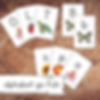 Alphabet Playing Card Set, Lined