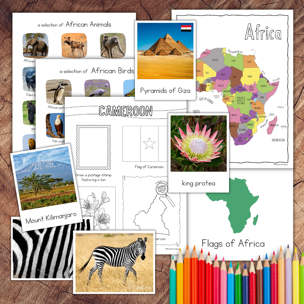 Africa continent study bundle with printable maps, flags, animals, landmarks and country geography resources