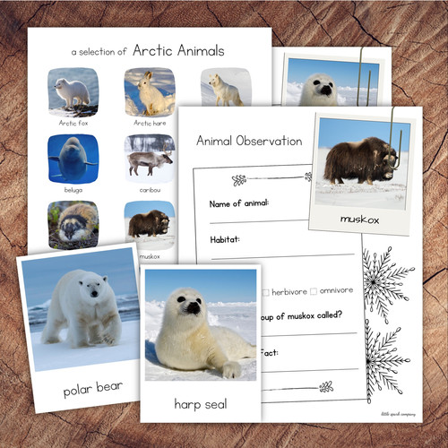 Arctic Animals Pack | Little Spark Company