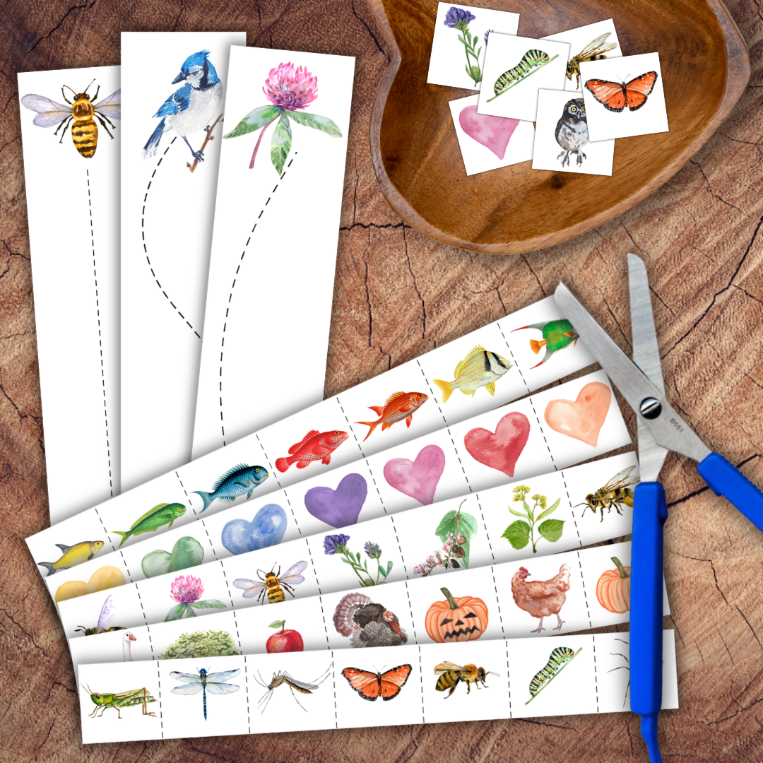 Scissor Skills Bundle, 36 Preschool Cutting Strip Sets, Fine Motor Printable