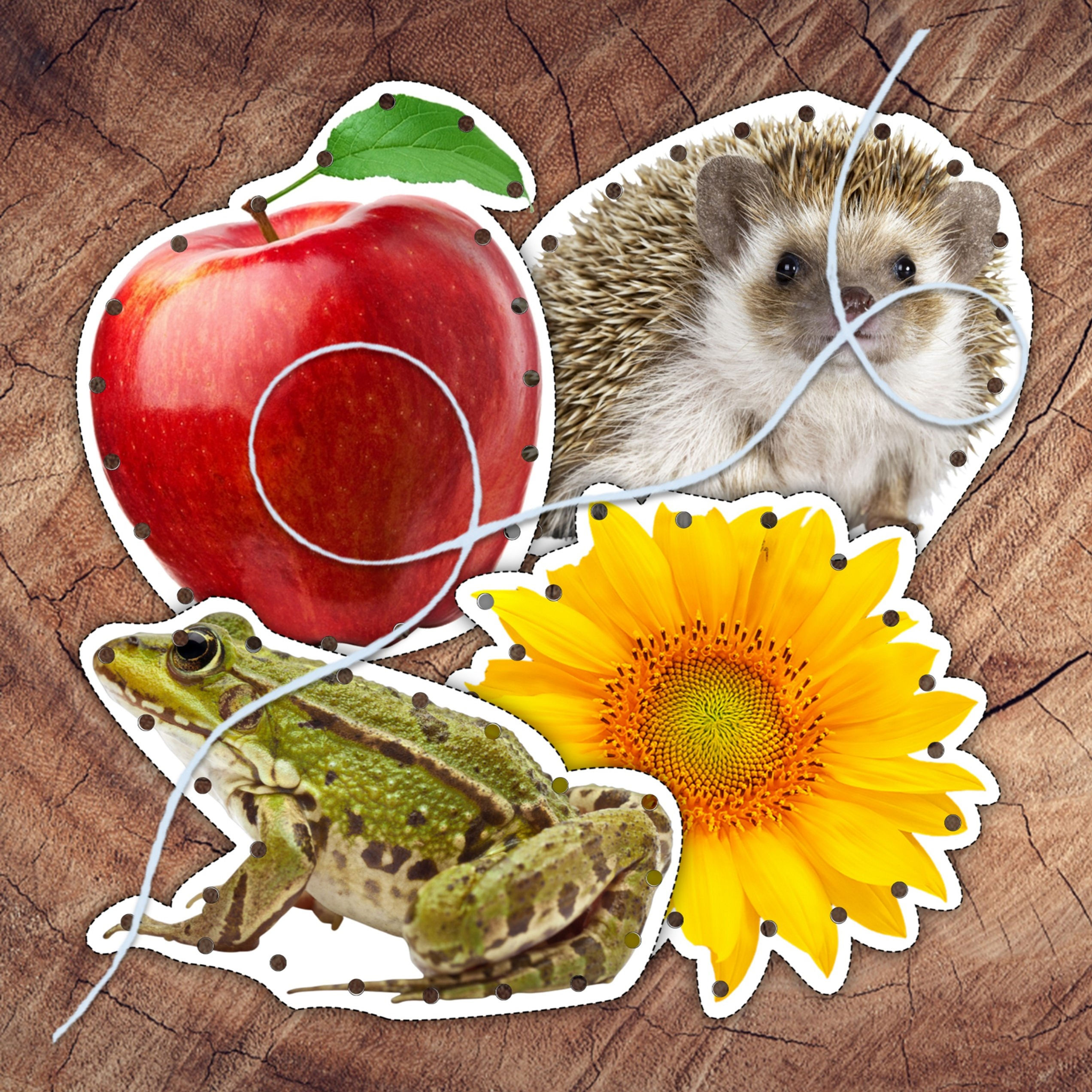 Alphabet Lacing Cards Bundle, 26 sets from Aa to Zz