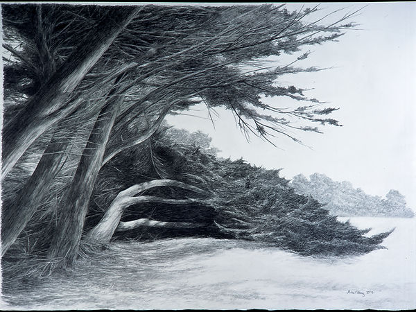ForestEdge-5.jpg