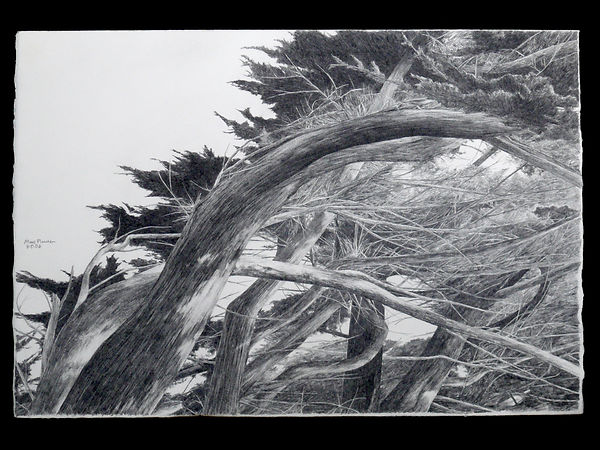 Windbroken.jpg