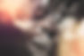 AdobeStock_145519420.jpeg