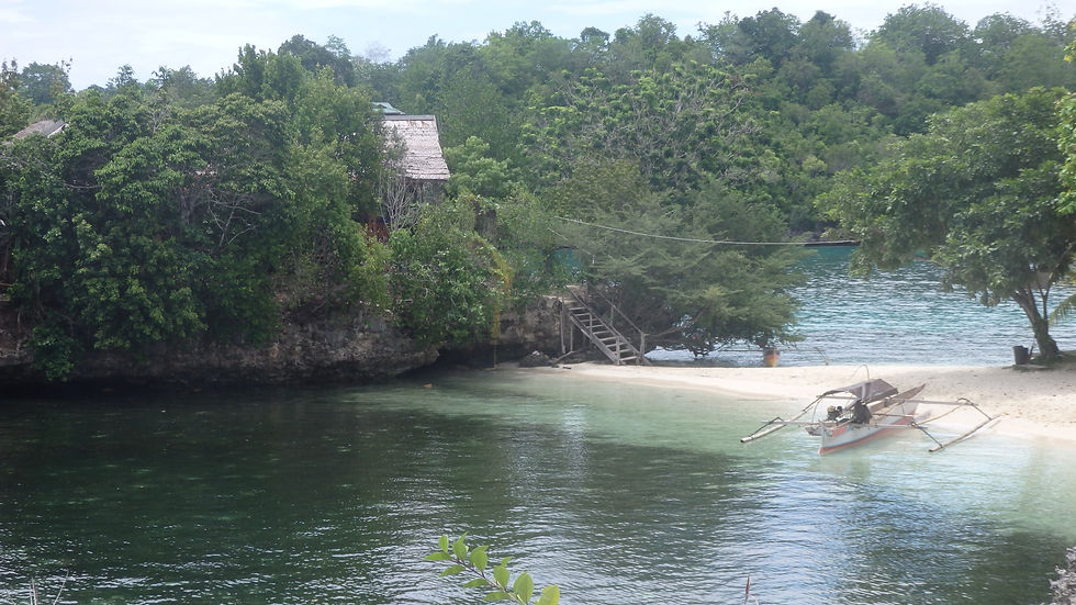 Un bateau traditionnel sur une plage des îles Togian