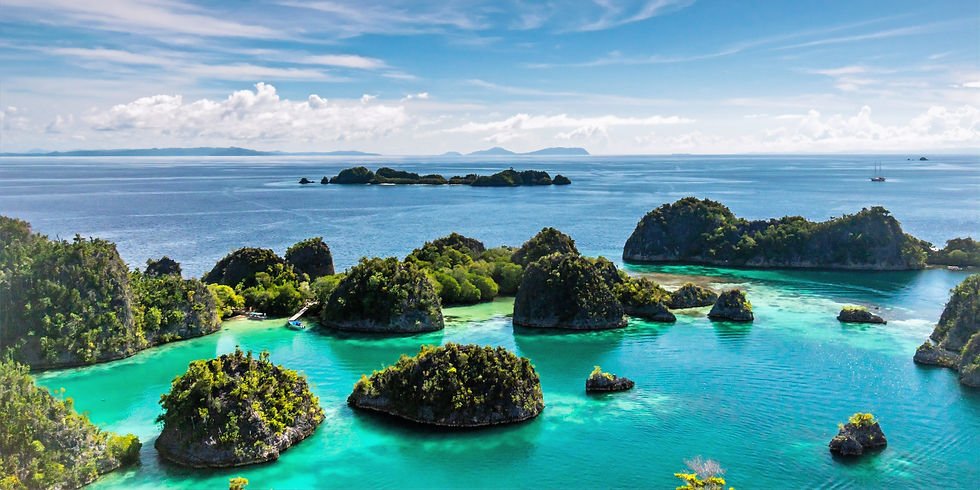 Ïles Raja Ampat - Indonésie