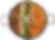 차새대떡볶이
