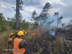 Soldados logran contener incendio en Siguatepeque