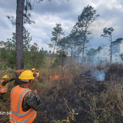 Soldados logran contener incendio en Siguatepeque
