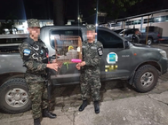 Base Naval de Puerto Cortés rescata a un tucán de pico multicolor