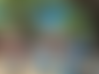 Filial Naval lleva alegría y solidaridad a la niñez de El Castaño, Choluteca