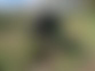 Base Aérea participa en reforestación en el Canal Seco