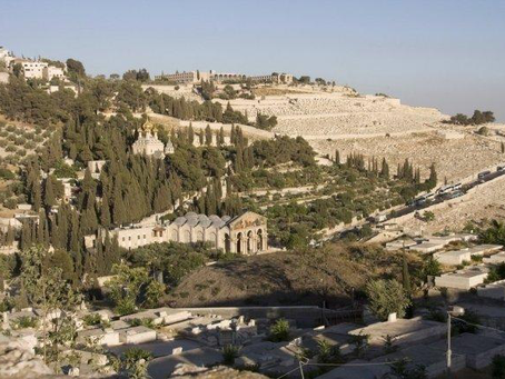 Monte de los Olivos y su significado cristiano