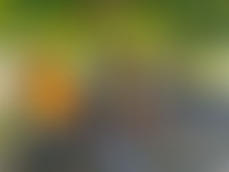 Ejército ejecuta programa “Guerra contra la Basura”