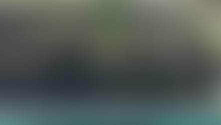 Ejército clausura adiestramiento de Tropas Élites