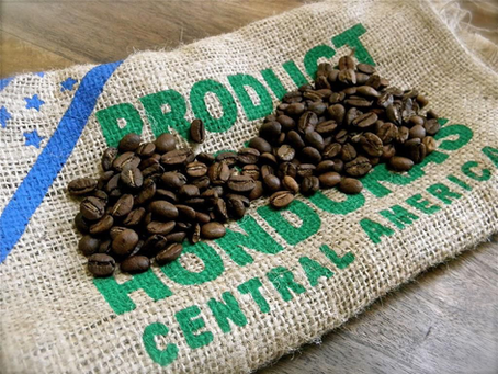 Café y Palma Africana impulsan al país al segundo lugar en exportaciones a Alemania