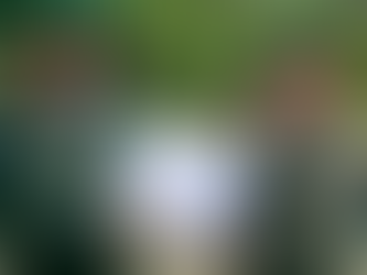 Solemnidad y orgullo patriótico en el Día del Soldado Hondureño