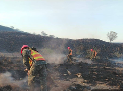 Cuando el fuego avanza las FF.AA. responden