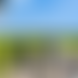 Segundo Batallón de Protección Ambiental detecta cambio ilegal de suelo y contaminación en Cuero y Salado