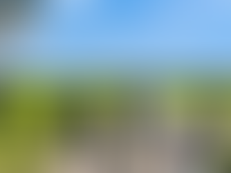 Segundo Batallón de Protección Ambiental detecta cambio ilegal de suelo y contaminación en Cuero y Salado