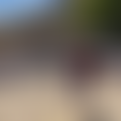 115 Brigada de infantería sigue desarrollando Iniciativa deportiva de la "Caminata del Comadante"