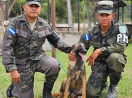 PMOP entrena nuevos agentes del Primer Batallón Canino