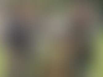 PMOP entrena nuevos agentes del Primer Batallón Canino