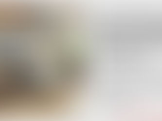 A Comprehensive Guide to Selecting the Perfect Oven