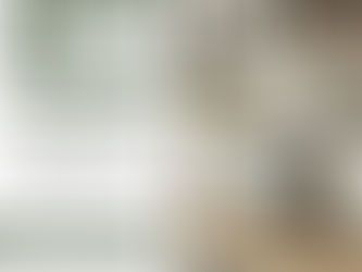 Scratch and Dent Dishwashers - Affordable & Practical Options